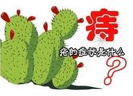 直腸息肉術(shù)后吃什么——武漢馬應(yīng)龍肛腸醫(yī)院建議