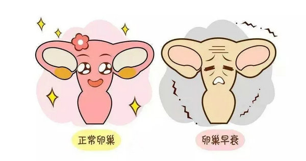 優(yōu)貝貝助孕科普|關(guān)于卵巢早衰,你該知道的5個問題 1.webp.jpg