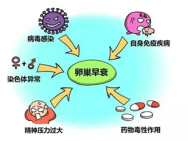 優(yōu)貝貝助孕科普|關(guān)于卵巢早衰,你該知道的5個問題 4.webp.jpg