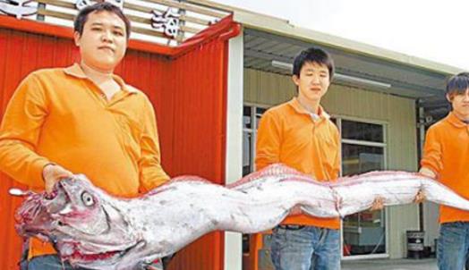 世界最長(zhǎng)的硬骨魚(yú) 龍王魚(yú)最長(zhǎng)7.6米 曾被認(rèn)為是真龍