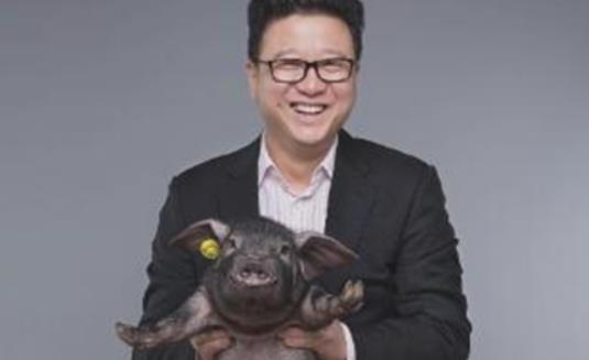 世界上最貴的豬 網(wǎng)易味央黑豬一頭賣出近11萬(wàn)元高價(jià)