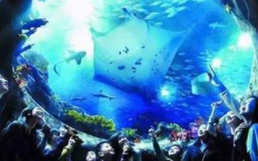 世界最大室內(nèi)海洋展館 永泰海洋極地世界占地面積近200畝
