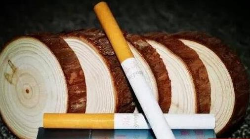 中國最貴的香煙 內部特供游泳香煙一萬八一條