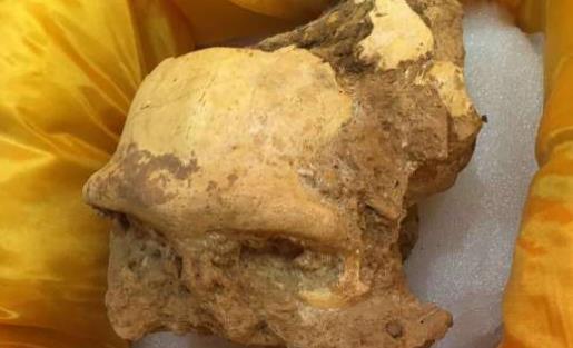 世界最早的較完整猿人化石 金牛山猿人距今已20多萬(wàn)年