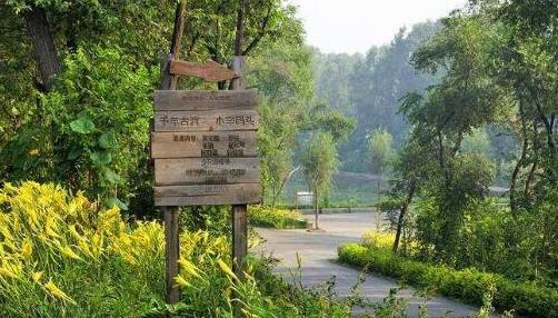 中國(guó)最美驛站 小辛碼頭自然與人工結(jié)合美景