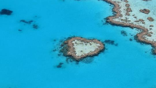 世界上最大的海 珊瑚?偯娣e達(dá)479.1萬(wàn)平方公里