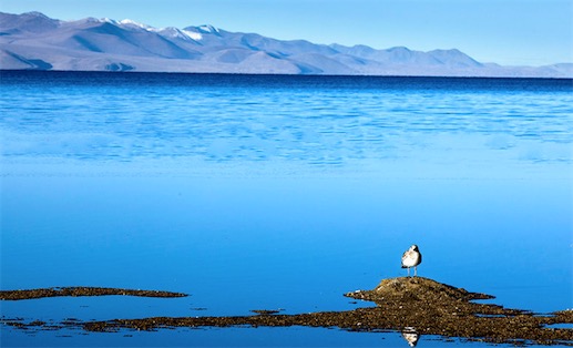 世界上海拔最高的咸水湖 納木錯湖海拔4718米