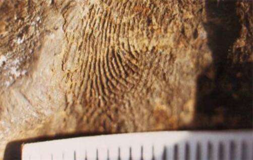 世界上人類最早的指紋 7000年前女人或小孩