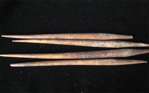 世界上最古老的針 用鳥骨制成的針距今5000年