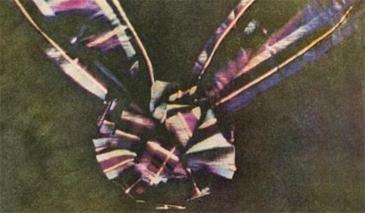 世界第一張彩色照片 物理學教授麥克斯韋1861年拍攝