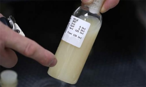 世界上最貴的精液 價值35萬既然還被偷走