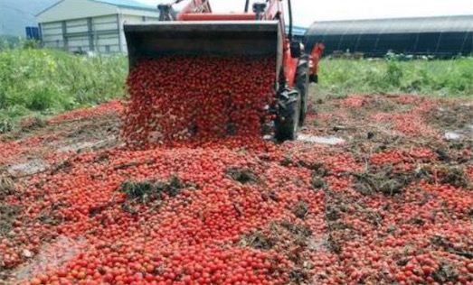 食物浪費率最高的亞洲國家 馬來西亞平均每人浪費的食物為100公斤左右