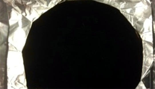 世界上最黑的物質(zhì) 毫微管物質(zhì)“Vantablack”