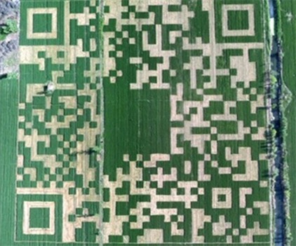 世界最大二維碼 190米×190米的二維碼