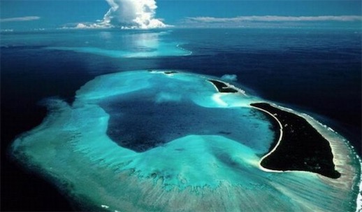 世界上無(wú)海岸線的大海 馬尾藻海與大陸毫無(wú)瓜葛