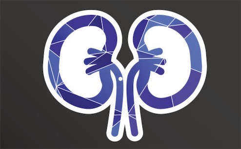 世界上腎最多的人 新西蘭一律師同時(shí)能擁有5個(gè)腎