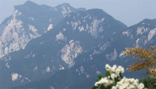 河南最高的山 老鴉岔垴號稱中原之巔