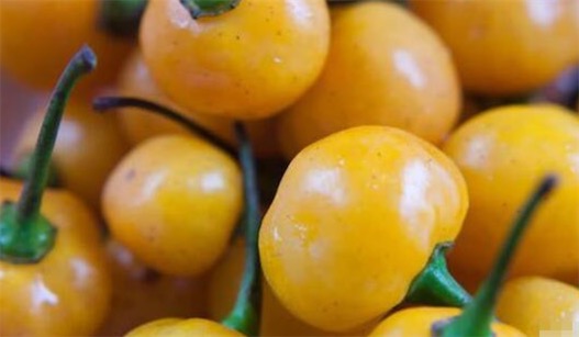 世界上最貴的辣椒 一公斤“Aji Charapita”高達(dá)35000美刀