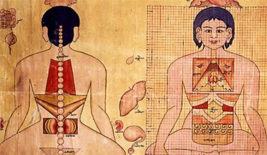 最早的大型成套彩色醫(yī)藥教學(xué)掛圖 8世紀(jì)著成的《四部醫(yī)典》
