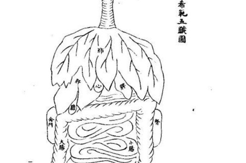 最早的人體解剖學(xué)圖譜 北宋慶歷間的《歐希范五臟圖》