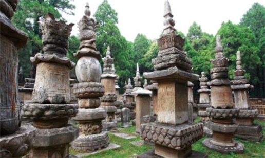 中國現(xiàn)存最大的墓塔林 少林寺塔林占地約21000多平方米