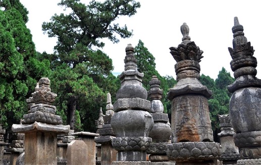 中國現(xiàn)存最大的墓塔林 少林寺塔林占地約21000多平方米