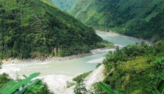 中國(guó)生物多樣性最豐富的峽谷 雅魯藏布大峽谷光維管束植物就3500余種