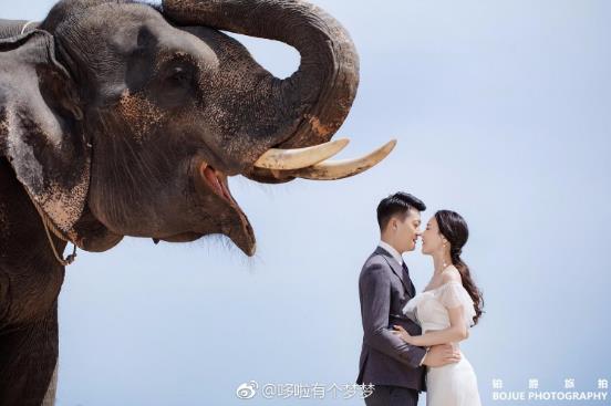 普吉島鉑爵旅拍怎么樣,非常感謝攝影師每一個(gè)場(chǎng)景拍的都超級(jí)好看