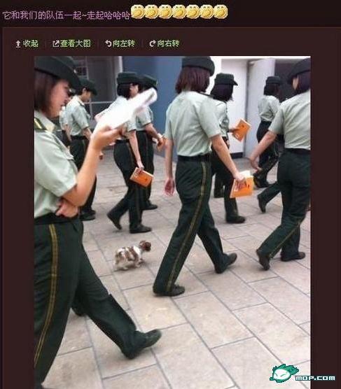 ŮT΢ŸǠ(zhng)hһŮT΢ŸԸƬ