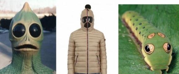 谷歌(Google)牌羽絨服Cosplay,實為頁面有Goggle字樣鬧烏龍