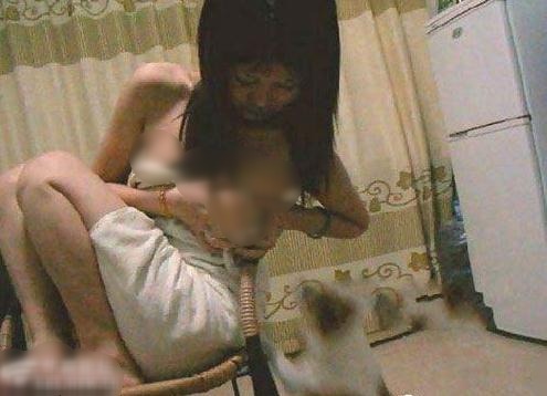 美國母親母乳喂養(yǎng)寵物狗“蜘蛛”兩年,國內(nèi)喂奶門90后小妹擠奶喂小狗,英國“離譜狗媽”用乳汁喂女兒和小狗