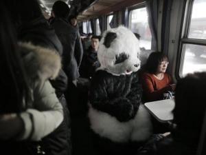 旅客穿熊貓玩偶服扮成大熊貓?bào)w驗(yàn)春運(yùn)遭圍觀