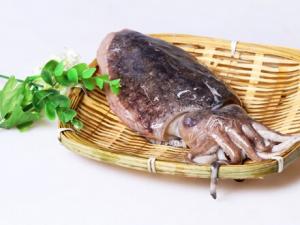 哺乳期吃墨魚有什么好處？吃墨魚的做法