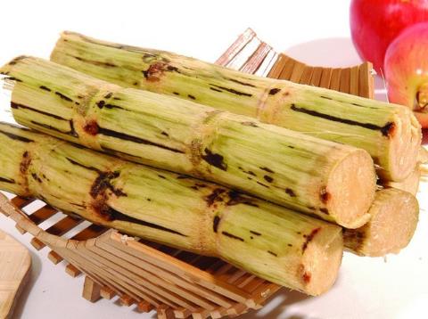 哺乳期能吃甘蔗嗎?哺乳期吃甘蔗有什么好處
