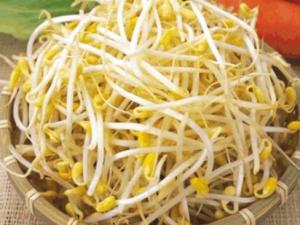 哺乳期吃黃豆芽有什么好處？哺乳期吃黃豆芽的做法