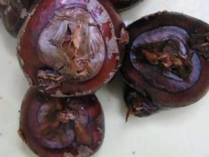 產(chǎn)婦能吃荸薺嗎？產(chǎn)婦吃荸薺的做法
