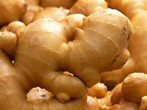 哺乳期吃生姜有什么好處？哺乳期吃生姜的做法