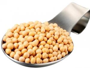 哺乳期能吃黃豆？哺乳期吃黃豆的做法