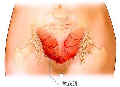 經(jīng)驗總結(jié)——生完孩子后如何縮陰
