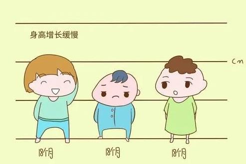 小佳膳全營養(yǎng)配方粉,幫助孩子打好成長基礎(chǔ)!