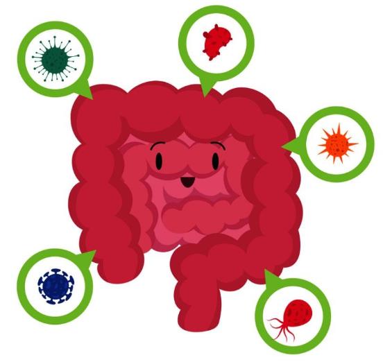 Lifespace益生菌有妙用?寶寶長(zhǎng)期補(bǔ)充有好處!