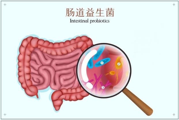 Lifespace益生菌有妙用?寶寶長(zhǎng)期補(bǔ)充有好處!