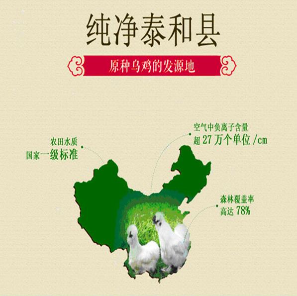 震驚!小金旦選用的泰和烏雞蛋還不如普通雞蛋好?只是一個(gè)噱頭?