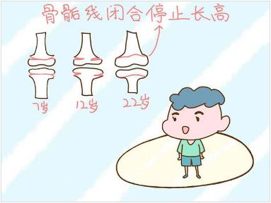 澳洲兒童營養(yǎng)師小鹿邦邦,給孩子最完美的身高