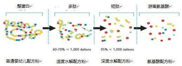水解蛋白奶粉有哪些?超啟能恩給寶寶媽媽般的呵護(hù)