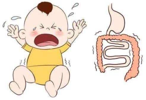 雀巢小百肽,寶寶胃腸的守護(hù)者