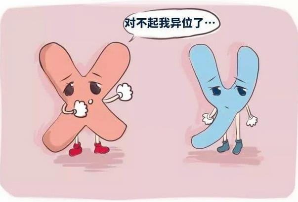 為什么你的卵子不成熟?優(yōu)貝貝生殖中心專家揭密原因