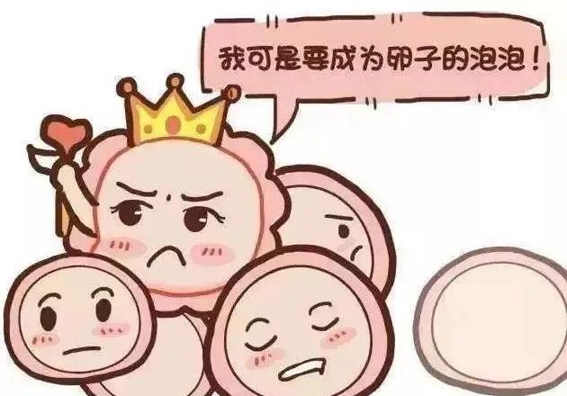 為什么你的卵子不成熟?優(yōu)貝貝生殖中心專家揭密原因