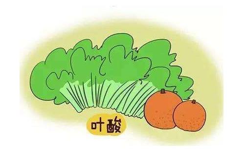 吃什么容易懷孕 懷孕前的準(zhǔn)備工作