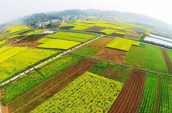 什么是土地登記?土地登記申請(qǐng)材料包括哪些(出現(xiàn)爭(zhēng)議如何處理)